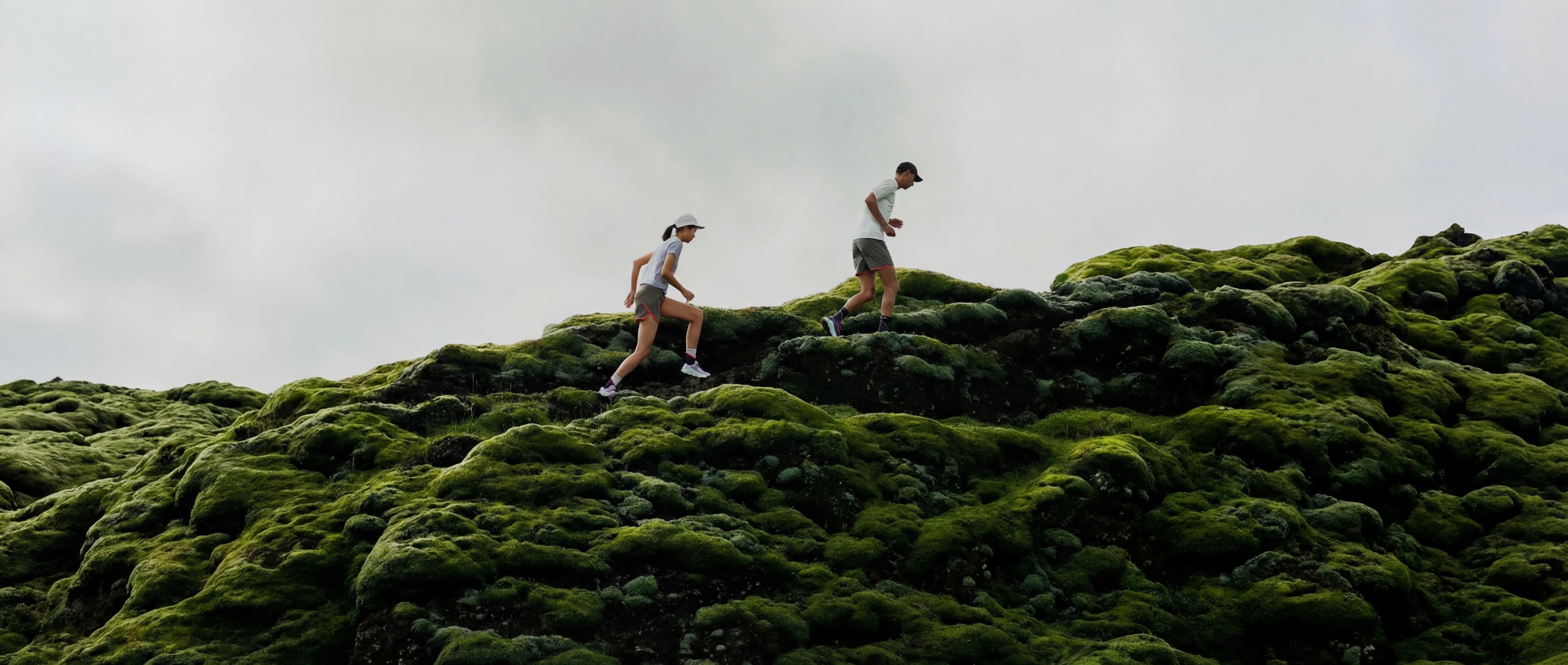 Banner de colección