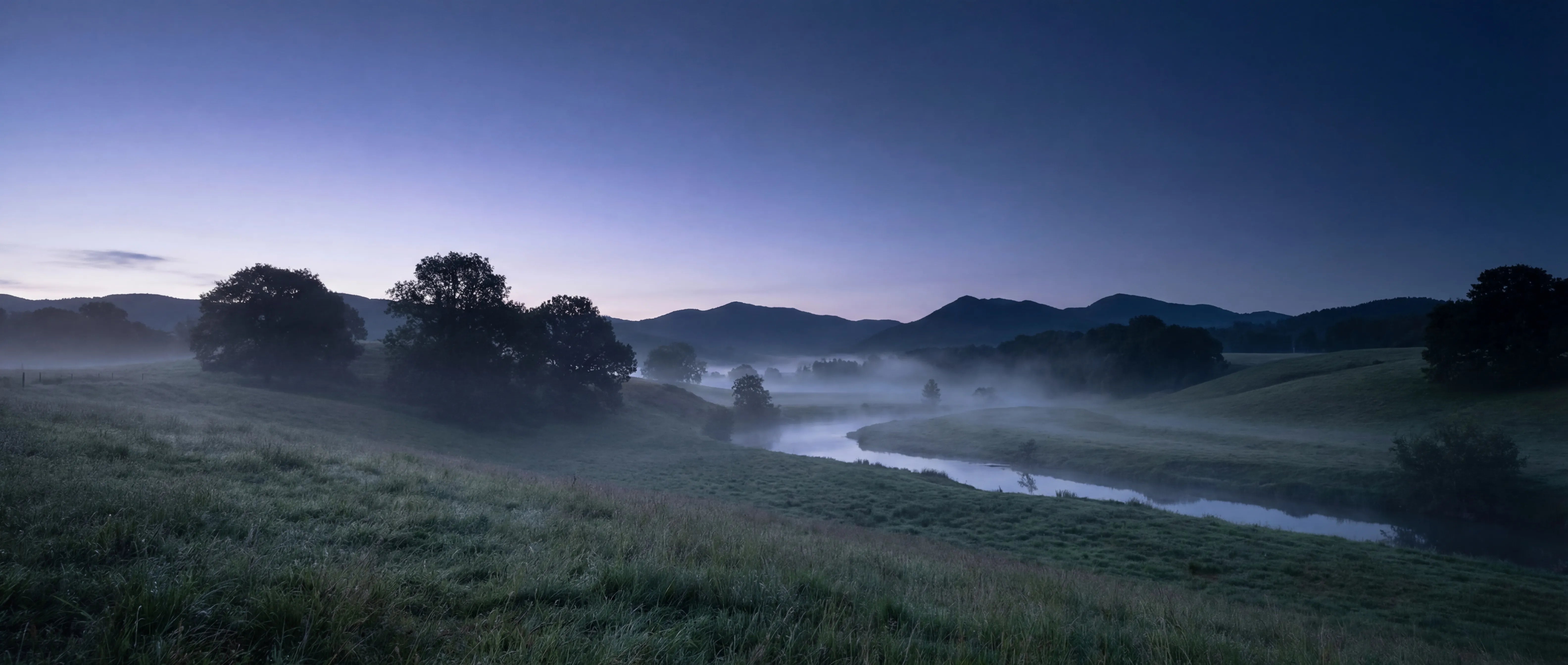 Banner de colección
