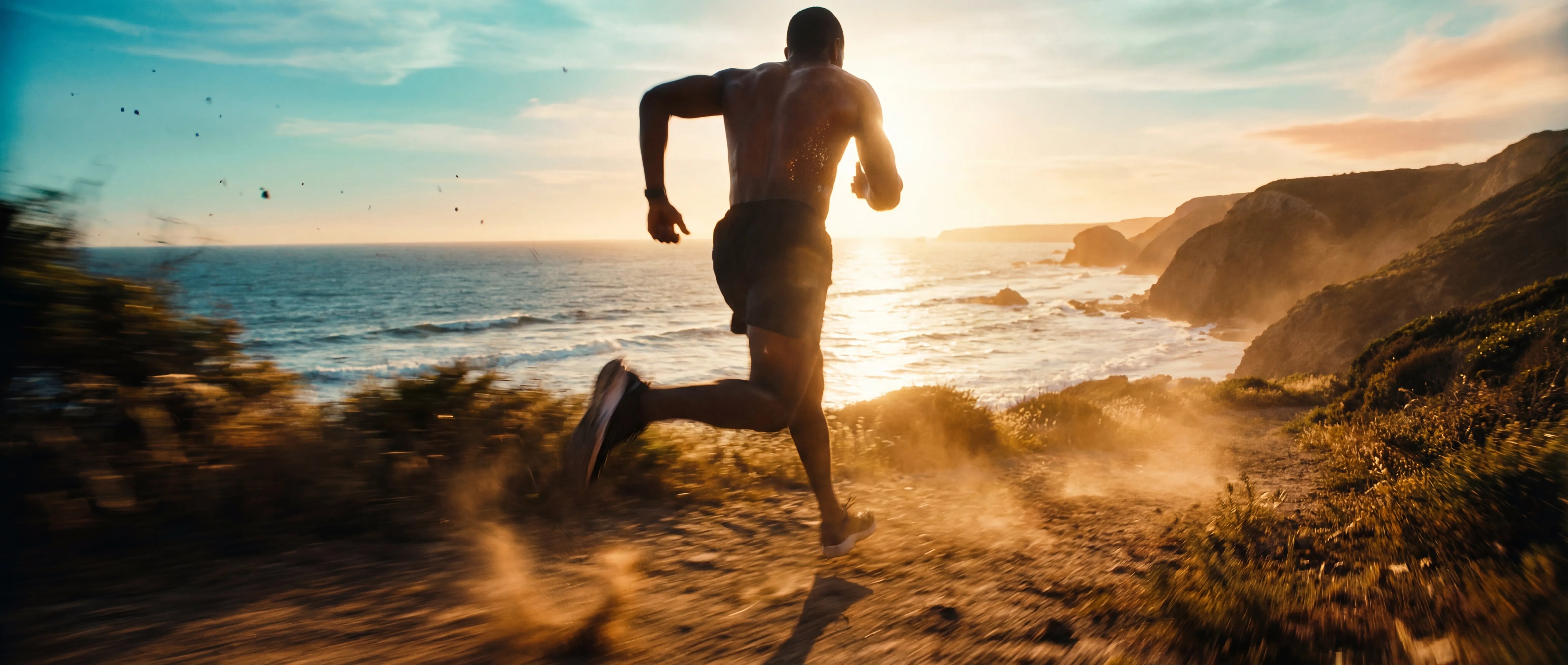 Banner de colección